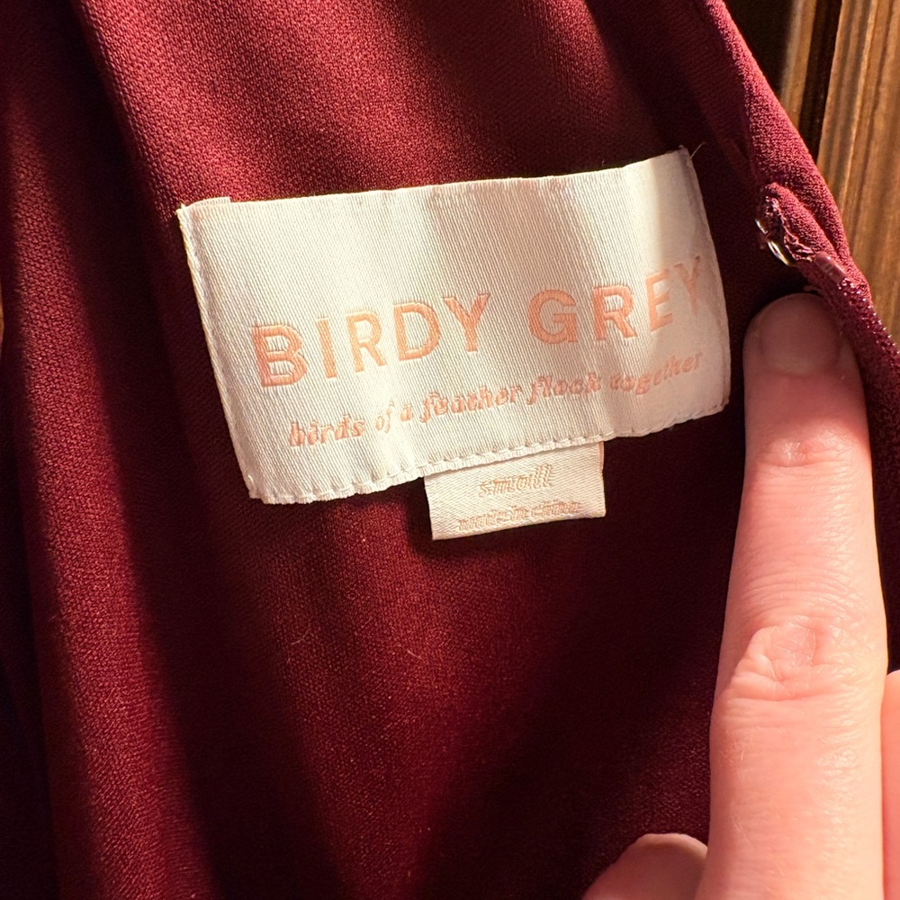 Birdy Grey Sleeveless Maxi Dress in Cabernet with Ruched Bodice - Picture 6 of 7